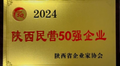 汇丰人才科技集团荣获陕西民营企业第40强、西安民营企业第35强